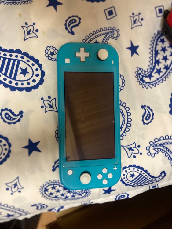 Nintendo Switch Lite（ゲーム機本体・ゲームソフト）の商品画像 - 査定依頼日：2026年1月21日 - 最高査定価格：8,000円