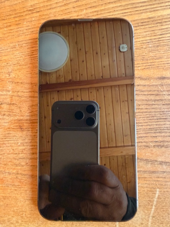 iPhone iPhone 13 Pro Max 256GB Softbank（スマホ）の商品画像 - 査定依頼日：2026年6月17日 - 最高査定価格：61,000円