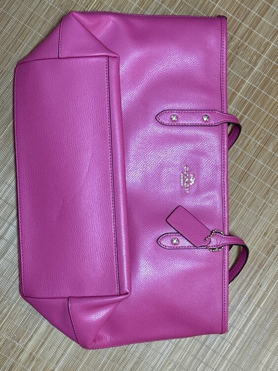 コーチ　バッグ（ブランドバッグ）の商品画像 - 査定依頼日：2025年4月19日 - 最高査定価格：3,000円