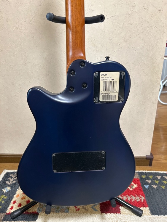 godin A6 ピエゾ（ピアノ・楽器・PA機材）の商品画像 - 査定依頼日：2026年4月17日 - 最高査定価格：55,000円