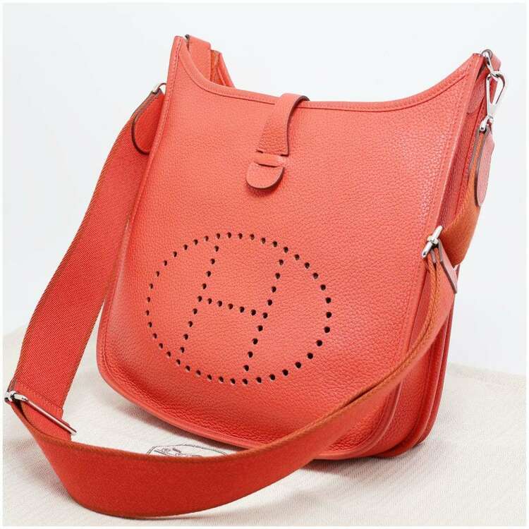 エブリンⅢ（ブランドバッグ）の商品画像 - 査定依頼日：2025年4月23日 - 最高査定価格：250,000円