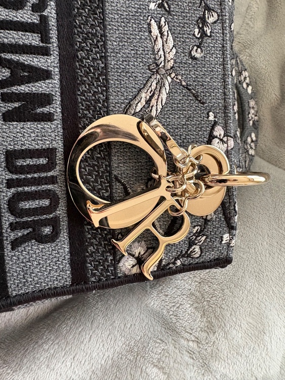 レディディオール（ブランドバッグ）の商品画像 - 査定依頼日：2026年1月20日 - 最高査定価格：250,000円