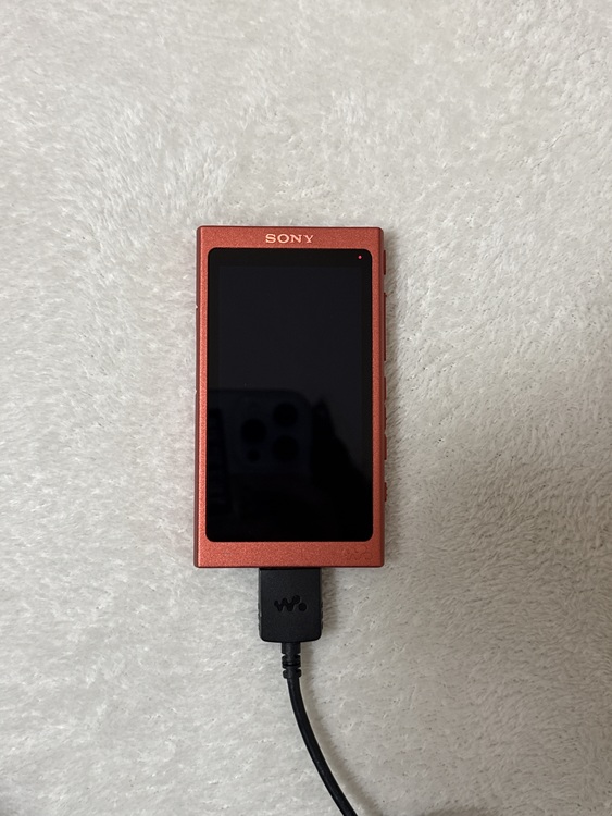 ソニー SONY ウォークマン NW-A45 16GB（オーディオ・スピーカー）の商品画像 - 査定依頼日：2026年5月21日 - 最高査定価格：3,710円