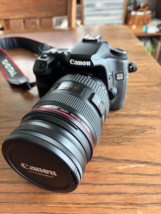 D40ボディ、レンズEF24-70mm f/2.8L（カメラ）の商品画像 - 査定依頼日：2026年9月19日 - 最高査定価格：47,000円