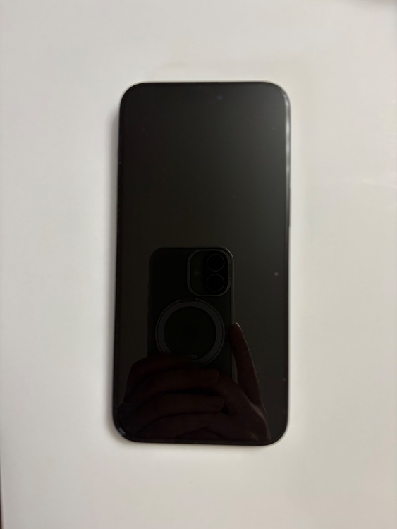 iPhone iPhone 15 Pro Max 256GB SIMフリー（スマホ）の商品画像 - 査定依頼日：2026年9月29日 - 最高査定価格：109,500円