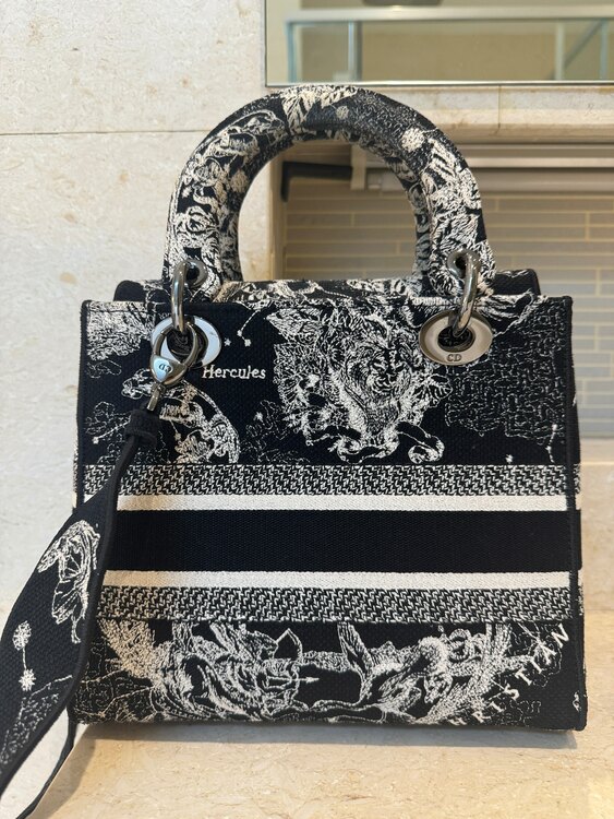 レディディオール（ブランドバッグ）の商品画像 - 査定依頼日：2025年2月6日 - 最高査定価格：280,000円