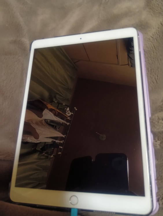 iPad Air（第3世代）（PC・タブレット）の商品画像 - 査定依頼日：2025年12月11日 - 最高査定価格：100,000円