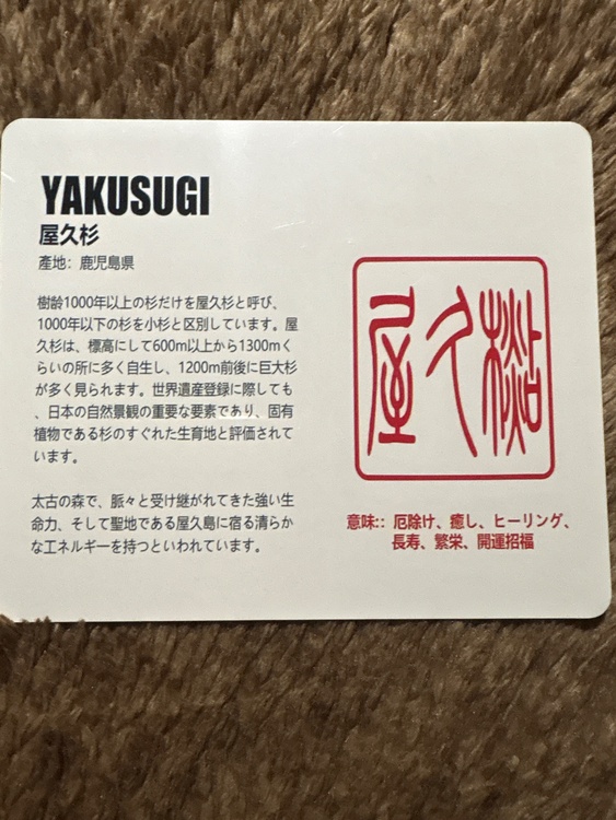 屋久杉ブレスレット（美術品・骨董品）の商品画像 - 査定依頼日：2026年7月16日 - 最高査定価格：3,000円