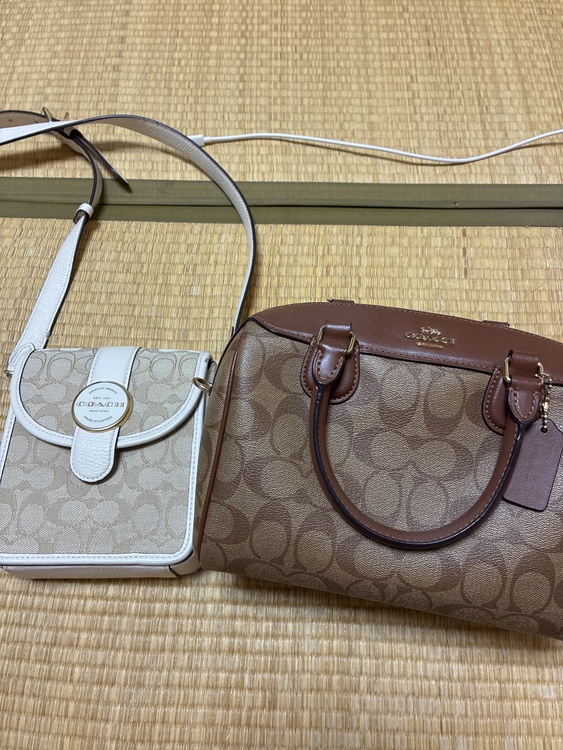 その他 コーチ（ブランドバッグ）の商品画像 - 査定依頼日：2026年5月24日 - 最高査定価格：4,000円