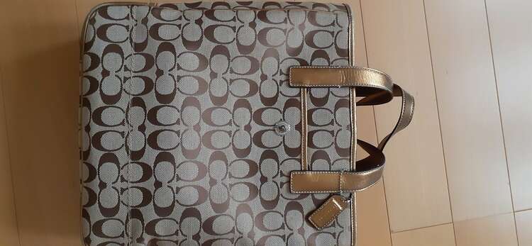 わからない（ブランドバッグ）の商品画像 - 査定依頼日：2025年3月12日 - 最高査定価格：3,000円