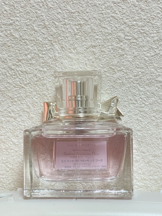 ディオール  （ブランドバッグ）の商品画像 - 査定依頼日：2025年6月17日 - 最高査定価格：3,000円