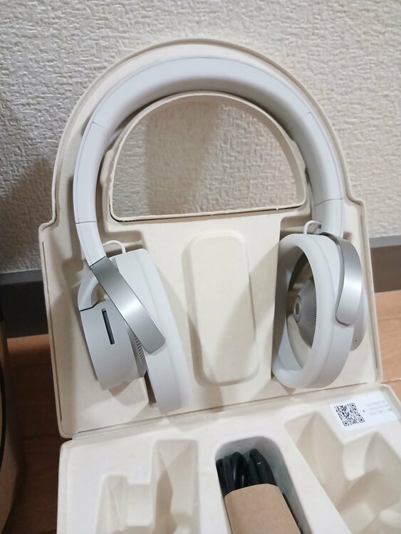 オープンイヤー型オーバーヘッド耳スピーカー（オーディオ・スピーカー）の商品画像 - 査定依頼日：2026年4月29日 - 最高査定価格：100,000円