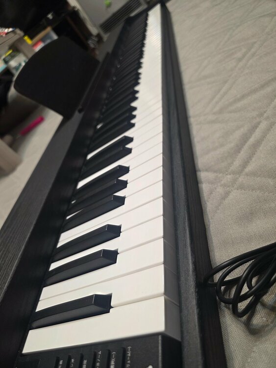 carina-LF130（ピアノ・楽器・PA機材）の商品画像 - 査定依頼日：2026年3月1日 - 最高査定価格：3,000円