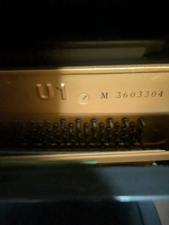 3603304（ピアノ・楽器・PA機材）の商品画像 - 査定依頼日：2025年9月11日 - 最高査定価格：50,000円