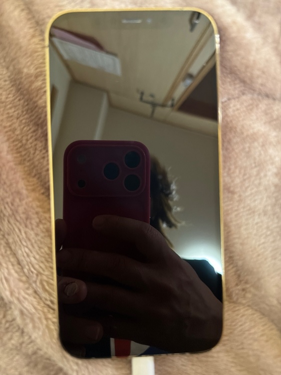 iPhone 12 Pro 256GB Softbank（スマホ）の商品画像 - 査定依頼日：2026年3月31日 - 最高査定価格：31,000円