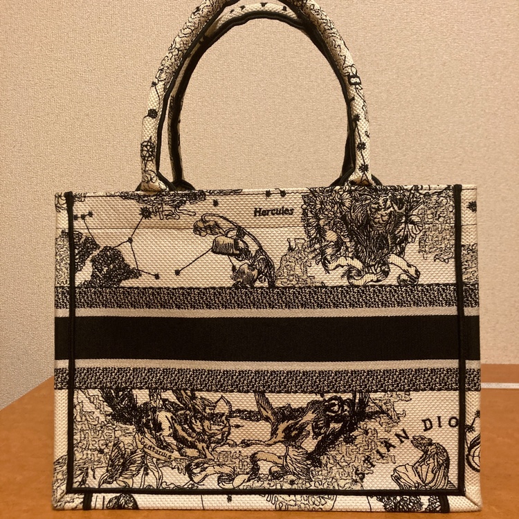 ディオール  （ブランドバッグ）の商品画像 - 査定依頼日：2026年1月9日 - 最高査定価格：100,000円