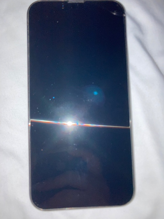 iPhone iPhone 13 Pro 256GB Softbank（スマホ）の商品画像 - 査定依頼日：2026年9月4日 - 最高査定価格：43,000円