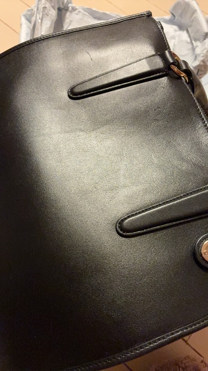 その他 コーチ （ブランドバッグ）の商品画像 - 査定依頼日：2026年1月31日 - 最高査定価格：1,000円