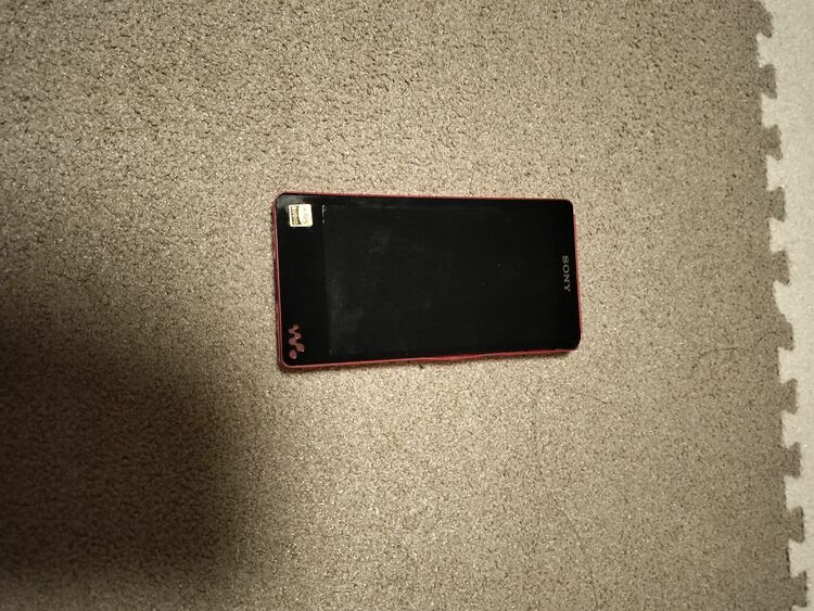 ソニーWALKMAN（オーディオ・スピーカー）の商品画像 - 査定依頼日：2025年6月20日 - 最高査定価格：1,100円