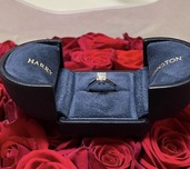 ハリーウィンストン HWリング（宝石）の商品画像 - 査定依頼日：2026年2月14日 - 最高査定価格：450,000円