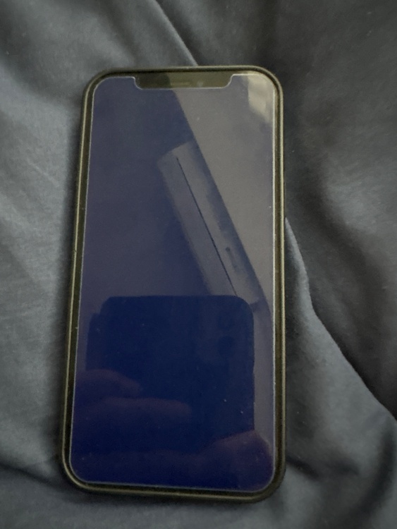 iPhone iPhone 12 Pro 256GB Softbank（スマホ）の商品画像 - 査定依頼日：2026年9月16日 - 最高査定価格：37,500円