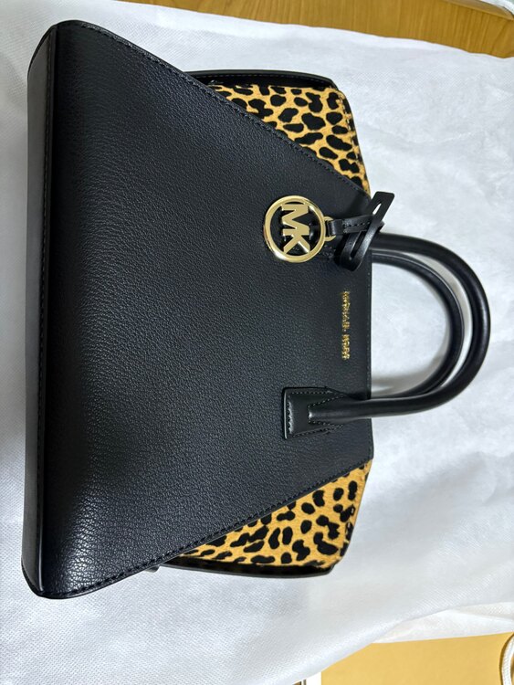 マイケルコース（ブランドバッグ）の商品画像 - 査定依頼日：2025年1月16日 - 最高査定価格：6,000円