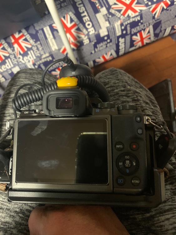 M5（カメラ）の商品画像 - 査定依頼日：2026年3月28日 - 最高査定価格：25,000円