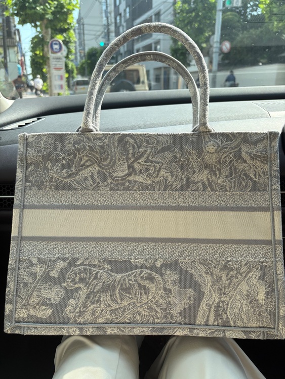 Diorブックトート（ブランドバッグ）の商品画像 - 査定依頼日：2025年8月23日 - 最高査定価格：250,000円