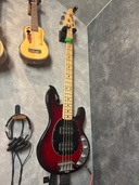 StingRay 3 EQ HH（ベース）の商品画像 - 中古 - 査定完了日：2026.08.08 - 最高査定価格：145,000円