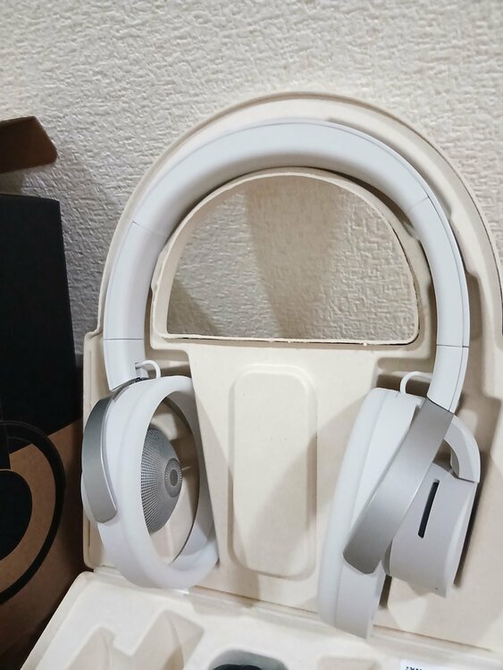 オープンイヤー型オーバーヘッド耳スピーカー（オーディオ・スピーカー）の商品画像 - 査定依頼日：2026年4月29日 - 最高査定価格：100,000円