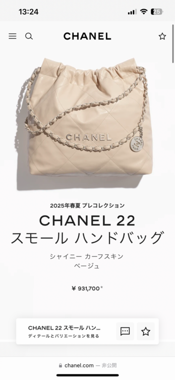 シャネル シャネル(その他)（ブランドバッグ）の商品画像 - 査定依頼日：2026年8月15日 - 最高査定価格：600,000円