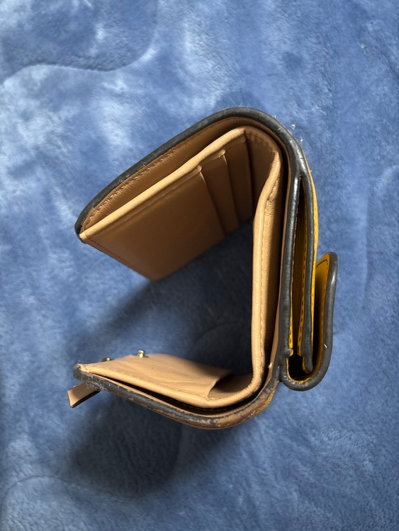 その他 クロエ （ブランドバッグ）の商品画像 - 査定依頼日：2025年6月15日 - 最高査定価格：15,000円