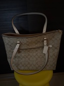 トート（ブランドバッグ）の商品画像 - 査定依頼日：2026年1月23日 - 最高査定価格：3,500円