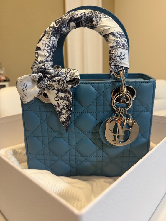 レディディオール（ブランドバッグ）の商品画像 - 査定依頼日：2026年2月21日 - 最高査定価格：320,000円