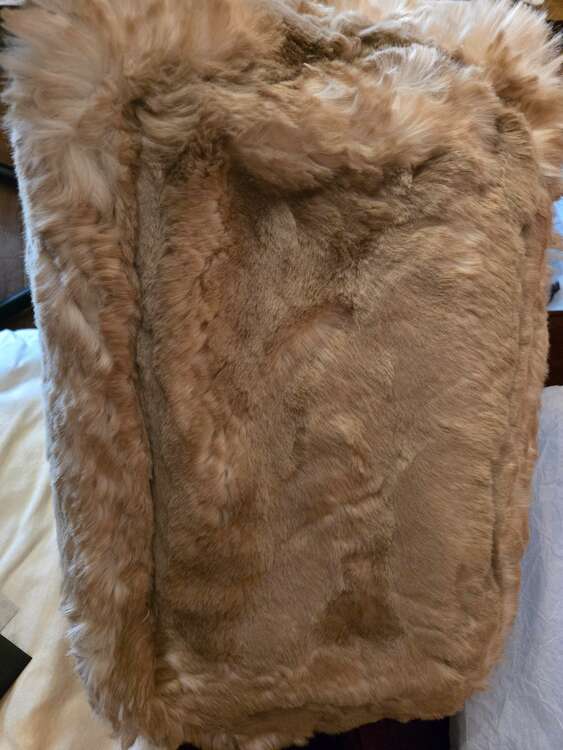 BN1918 ECO LAPIN（ブランドバッグ）の商品画像 - 査定依頼日：2025年2月21日 - 最高査定価格：55,000円