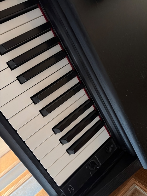 ARIUS YPD-144（ピアノ・楽器・PA機材）の商品画像 - 査定依頼日：2026年4月5日 - 最高査定価格：5,000円