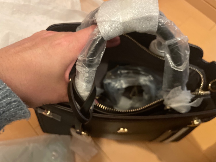 2420125231（ブランドバッグ）の商品画像 - 査定依頼日：2026年2月25日 - 最高査定価格：550円