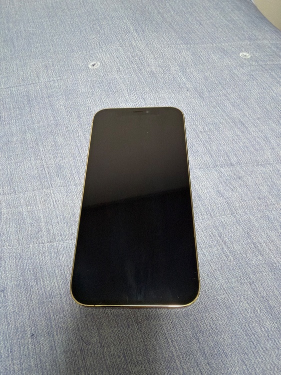 iPhone iPhone 12 Pro 256GB docomo（スマホ）の商品画像 - 査定依頼日：2026年6月9日 - 最高査定価格：26,000円