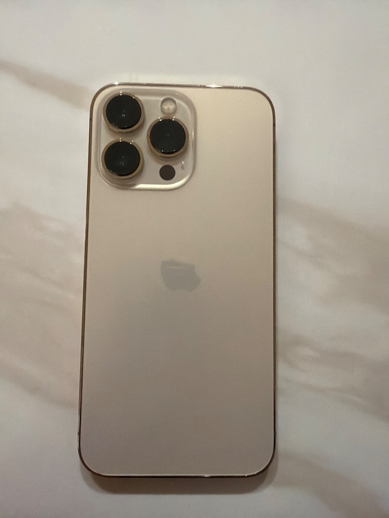 iPhone13 Pro 256GB ゴールド（スマホ）の商品画像 - 査定依頼日：2026年2月24日 - 最高査定価格：49,000円