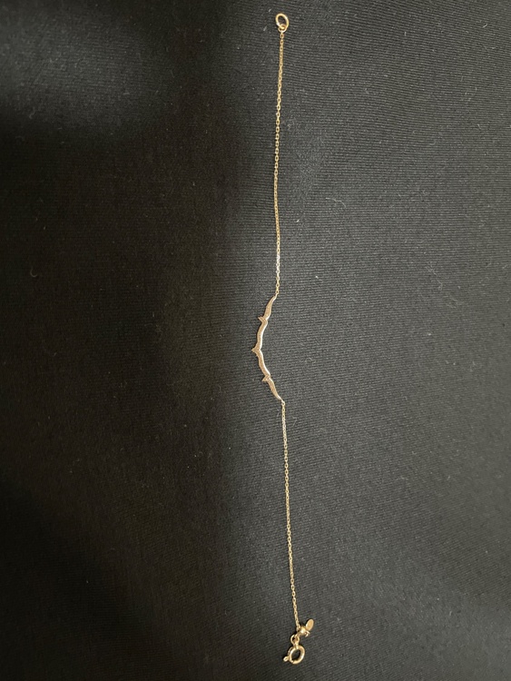 ブレスレット（金・貴金属）の商品画像 - 査定依頼日：2026年3月4日 - 最高査定価格：22,000円