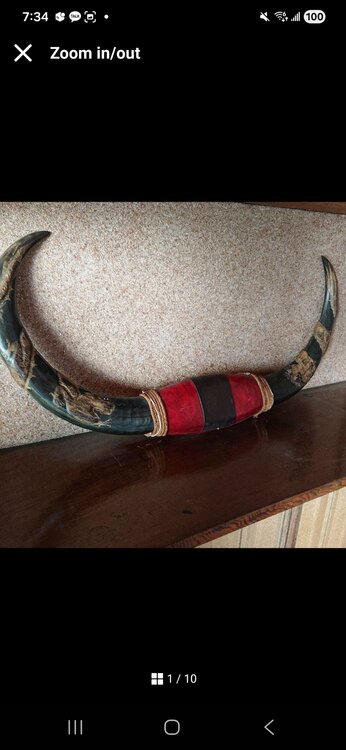 水牛の角（美術品・骨董品）の商品画像 - 査定依頼日：2026年3月26日 - 最高査定価格：3,000円