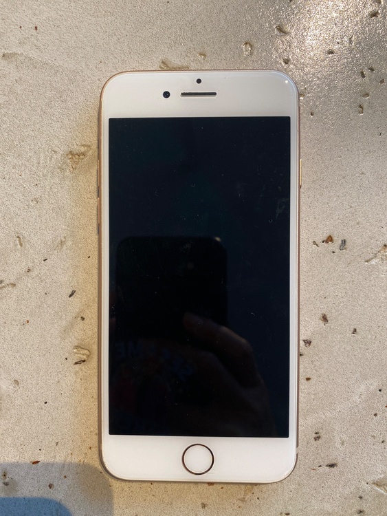 iPhone iPhone8 64GB SIMフリー（スマホ）の商品画像 - 査定依頼日：2026年9月19日 - 最高査定価格：4,500円