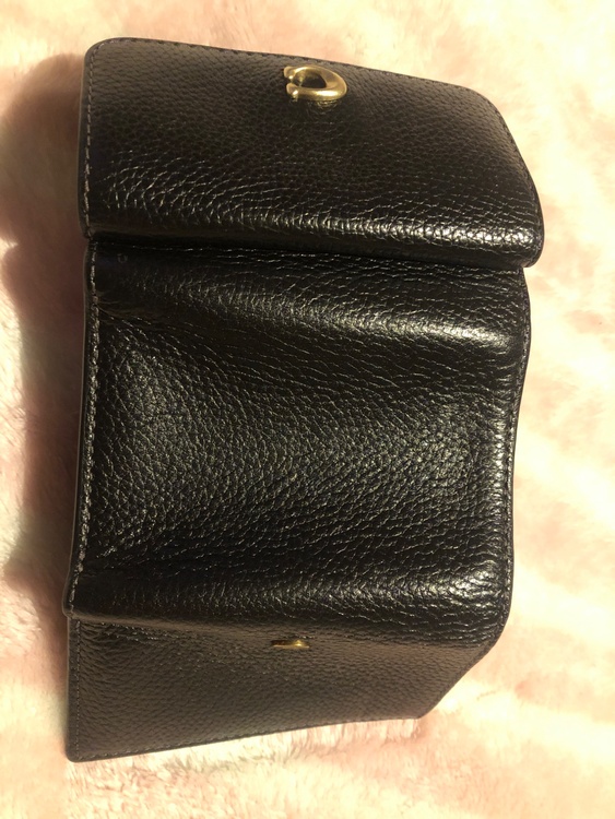 その他 コーチ （ブランドバッグ）の商品画像 - 査定依頼日：2026年1月23日 - 最高査定価格：1,500円