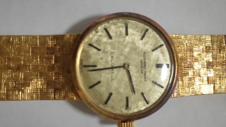 オーデマピゲ その他 Caldwell（高級時計）の商品画像 - 査定依頼日：2025年6月8日 - 最高査定価格：600,000円