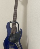 WJB5-1DX-AC RSM/M