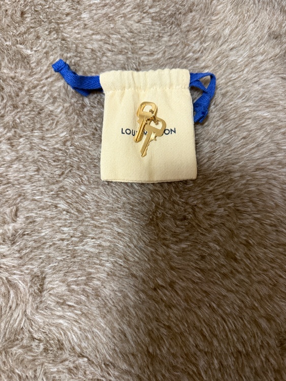 ルイヴィトン ルイヴィトン(その他) （ブランドバッグ）の商品画像 - 査定依頼日：2026年2月2日 - 最高査定価格：190,000円