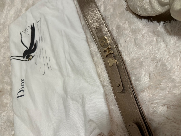 ディオール  （ブランドバッグ）の商品画像 - 査定依頼日：2026年2月15日 - 最高査定価格：400,000円