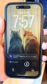 iPhone iPhone 15 256GB Softbank（スマホ）の商品画像 - 査定依頼日：2026年9月27日 - 最高査定価格：38,500円