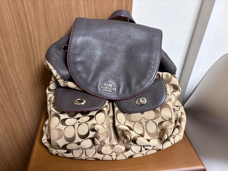 その他 コーチ（ブランドバッグ）の商品画像 - 査定依頼日：2026年10月13日 - 最高査定価格：5,500円