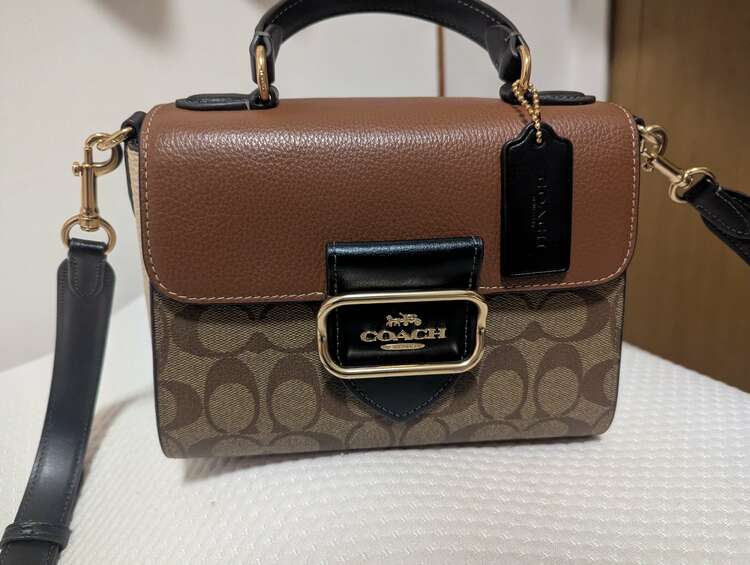 その他 コーチ （ブランドバッグ）の商品画像 - 査定依頼日：2025年3月10日 - 最高査定価格：8,000円
